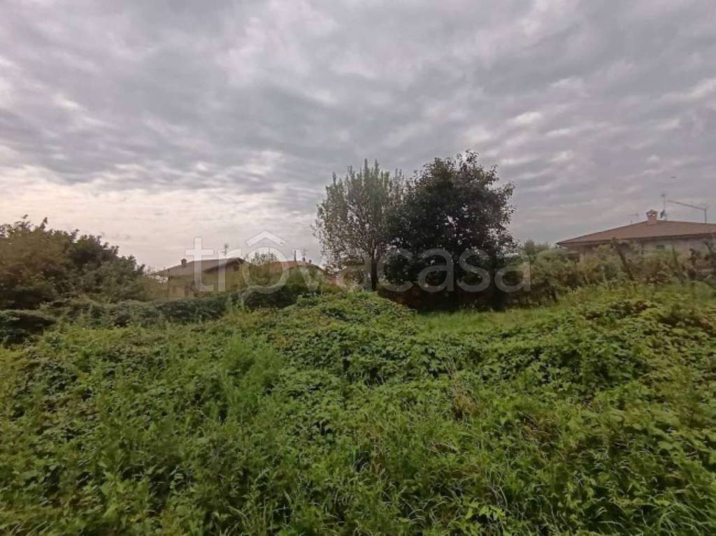 immagine annuncio 7 di 8