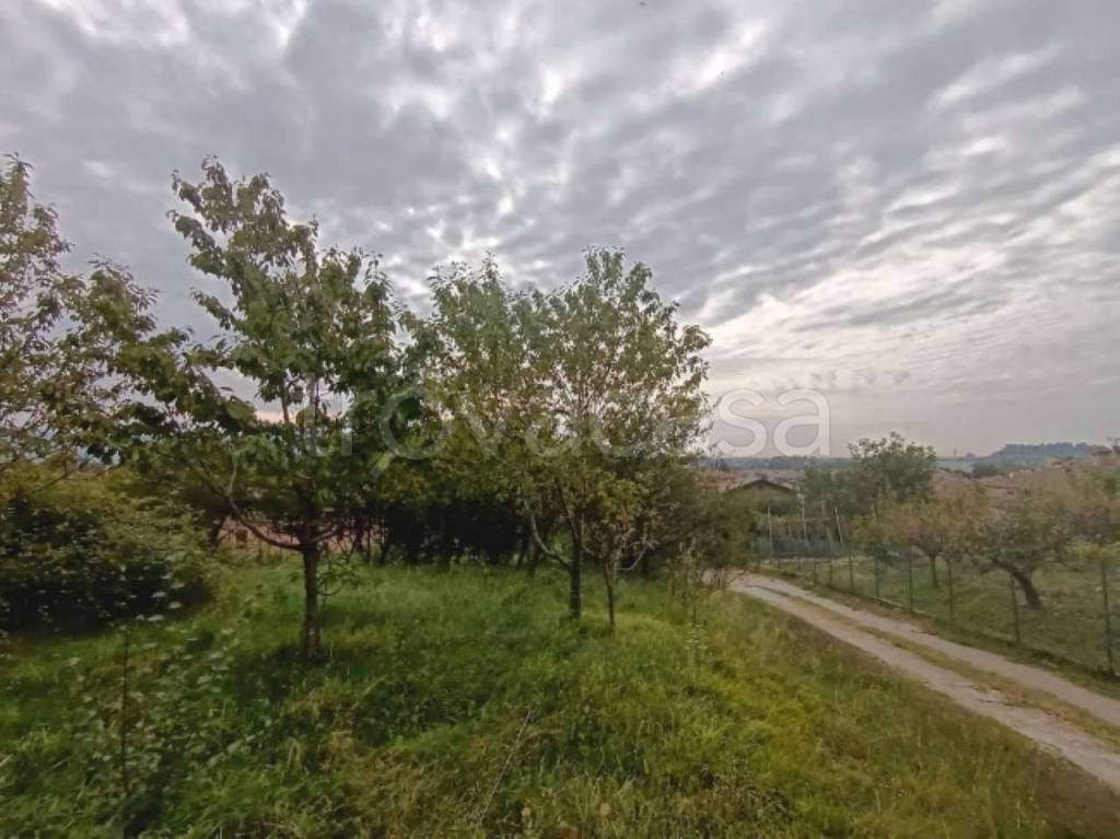 immagine annuncio 3 di 6