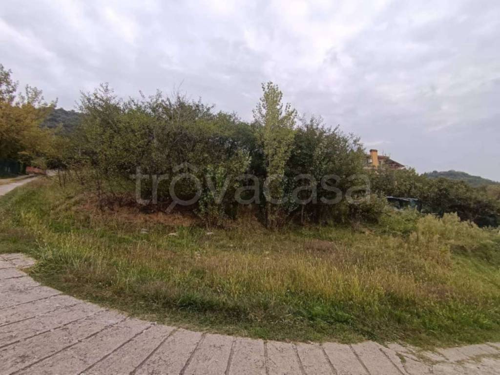 immagine annuncio 4 di 6