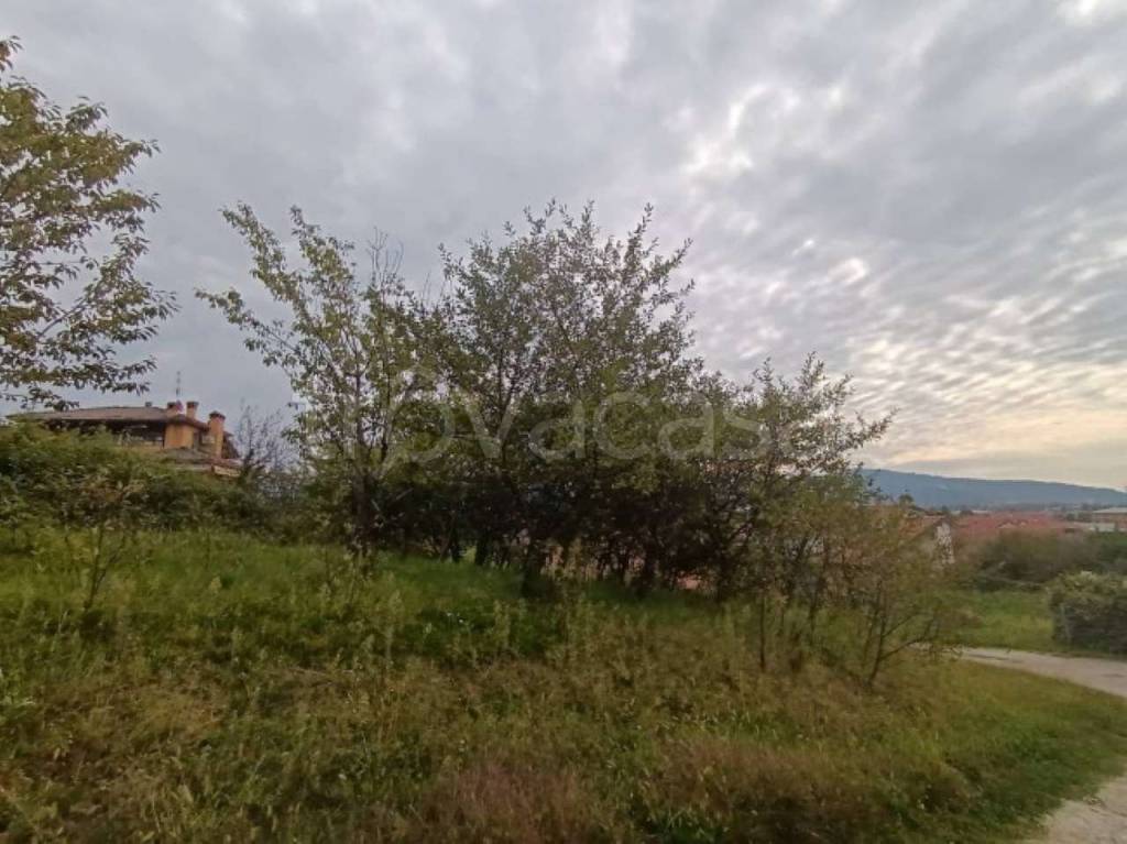 immagine annuncio 5 di 6