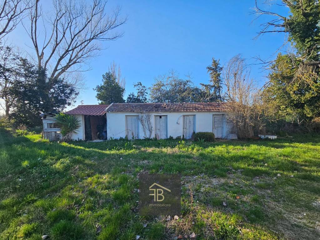 immagine annuncio 5 di 14