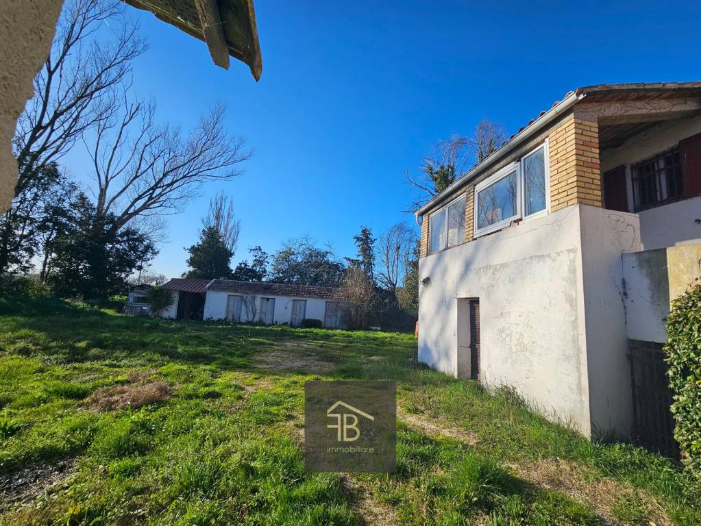 immagine annuncio 6 di 14