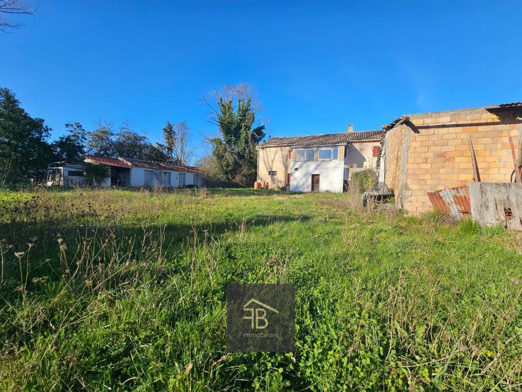 immagine annuncio 7 di 14