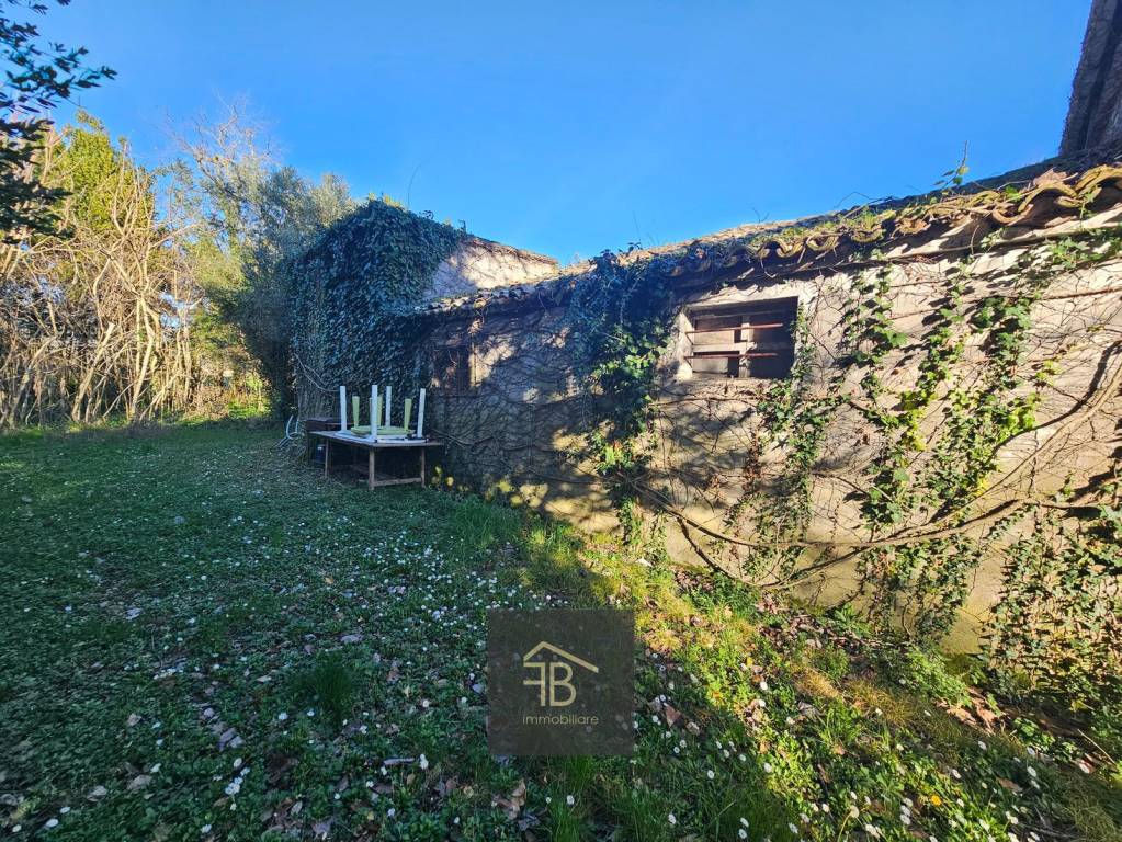 immagine annuncio 9 di 14