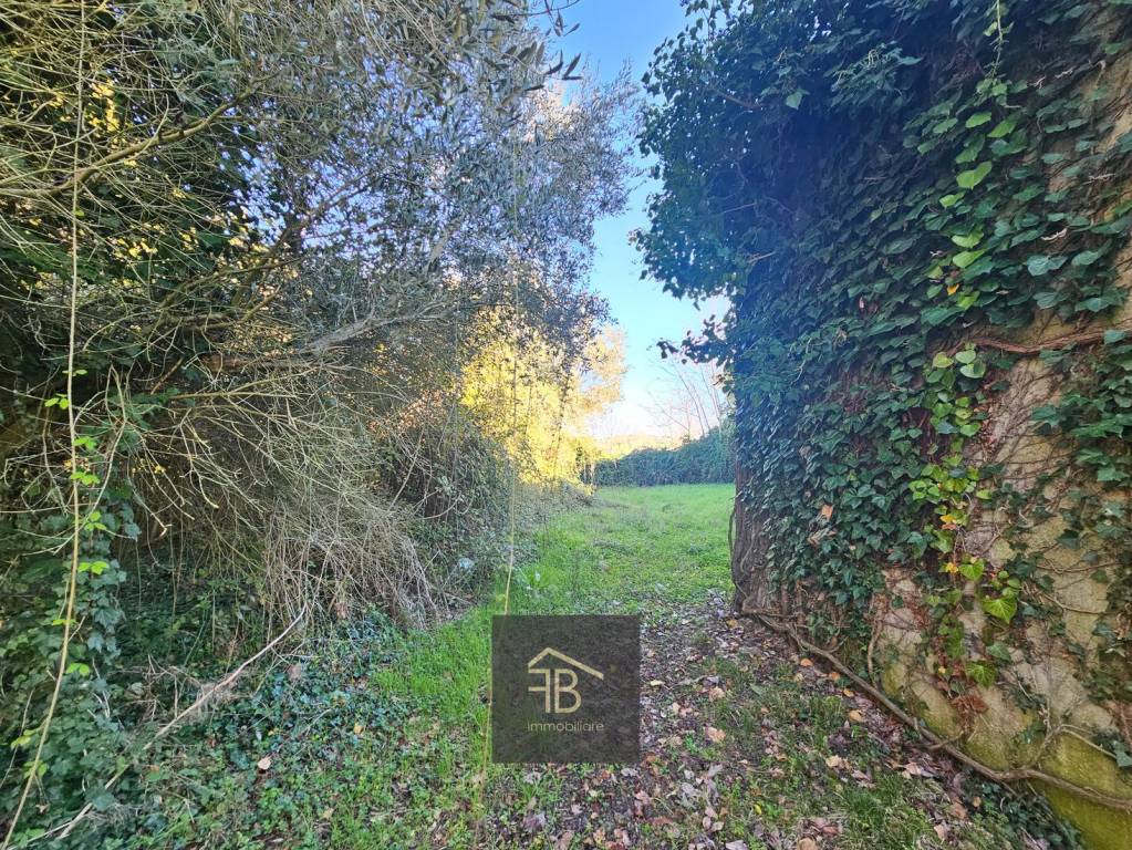 immagine annuncio 10 di 14