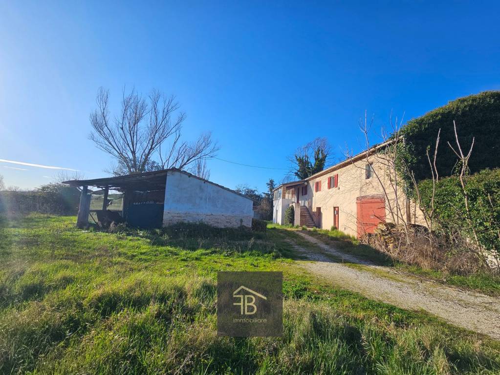 immagine annuncio 11 di 14