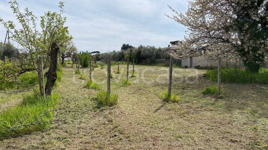 immagine annuncio 6 di 10