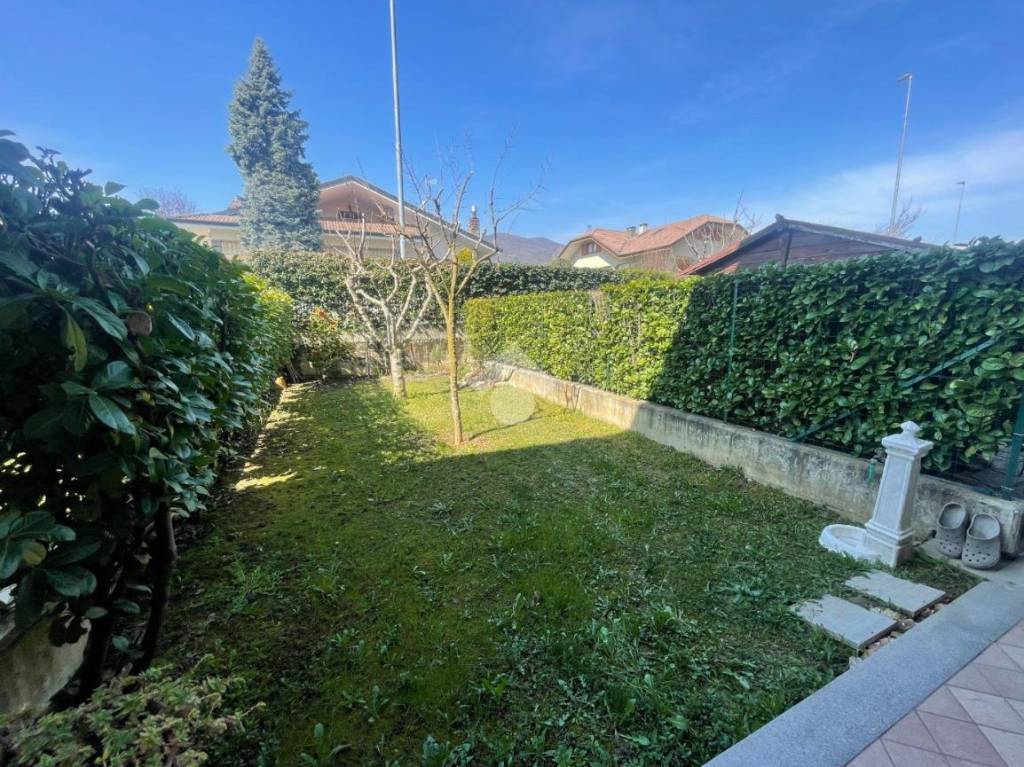 immagine annuncio 4 di 15