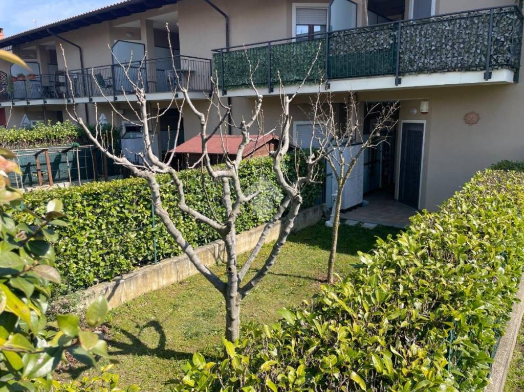 immagine annuncio 7 di 15