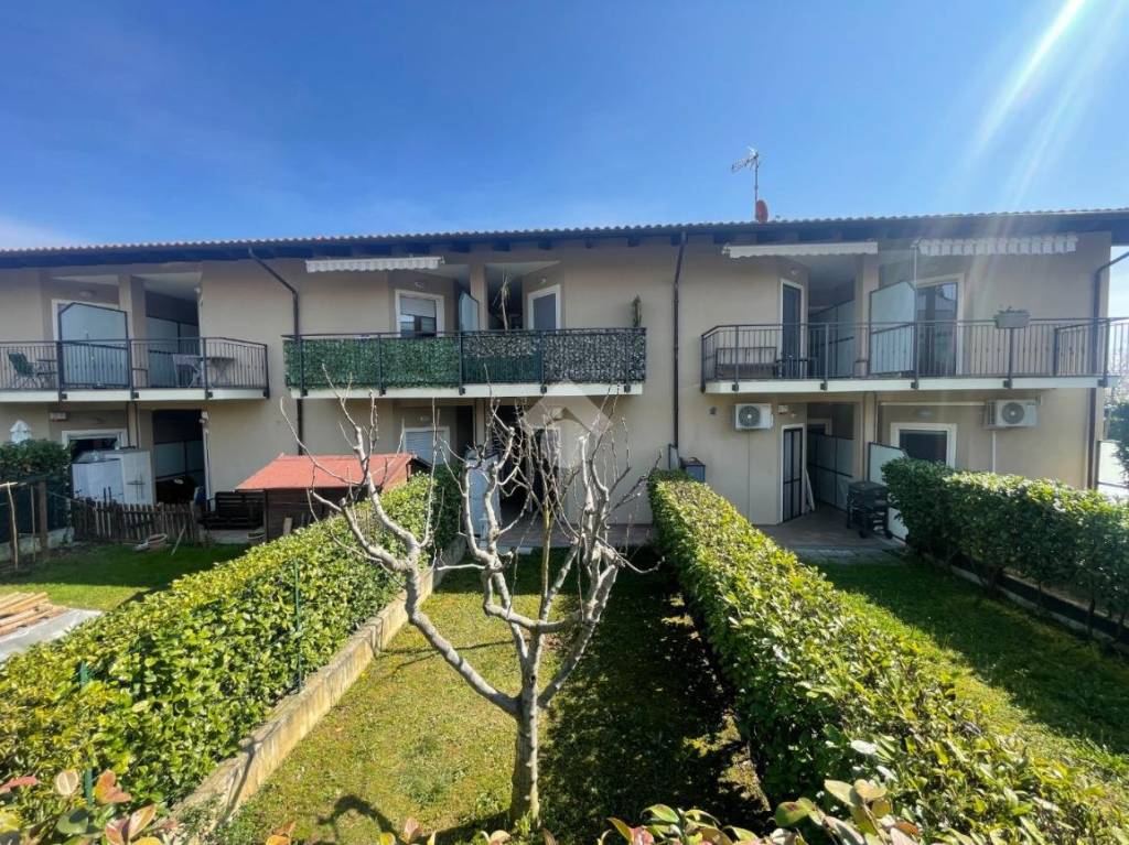 immagine annuncio 12 di 15