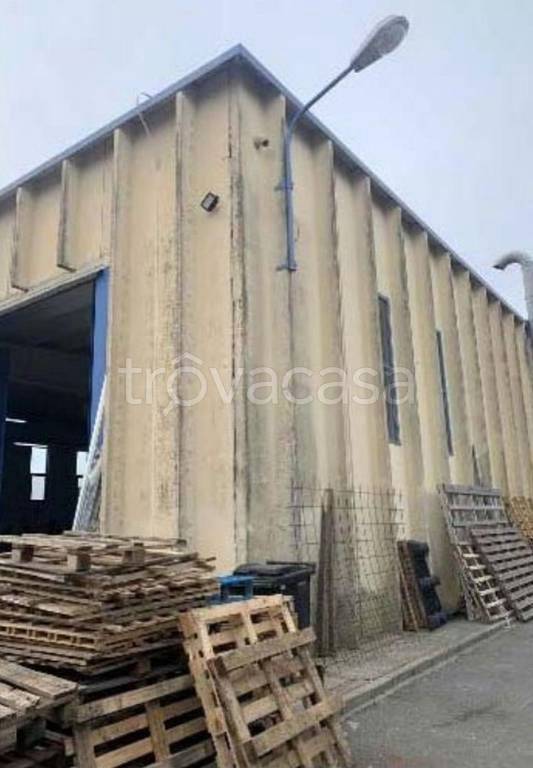 immagine annuncio 6 di 13