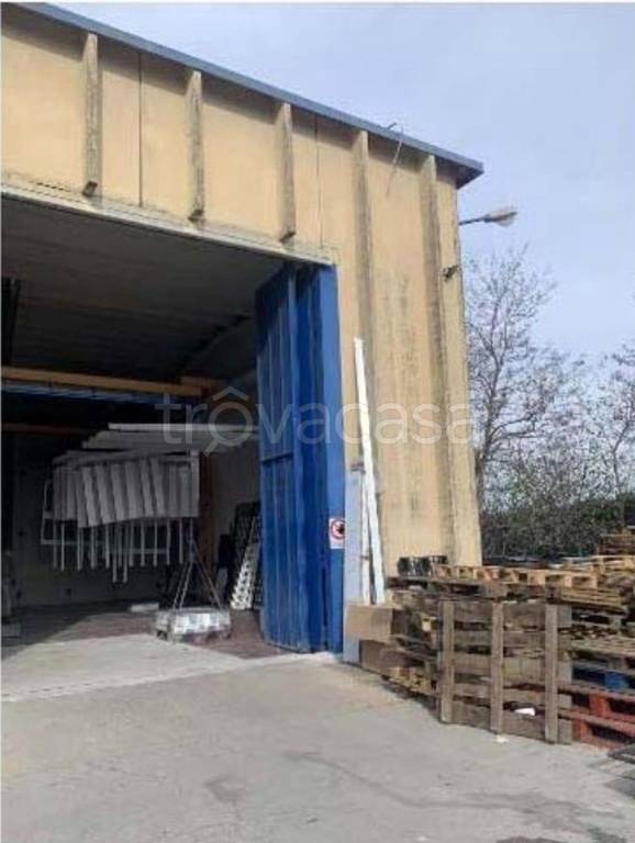 immagine annuncio 8 di 13