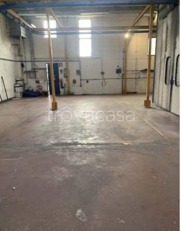 immagine annuncio 11 di 13