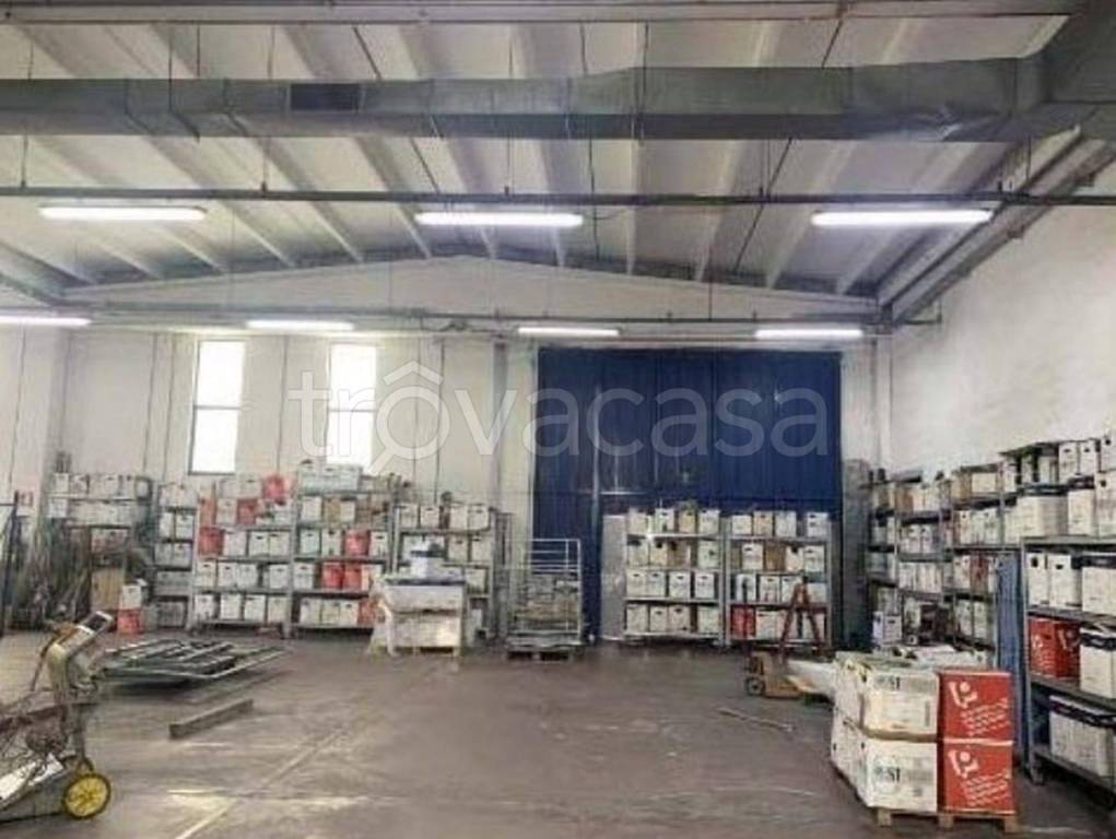 immagine annuncio 12 di 13