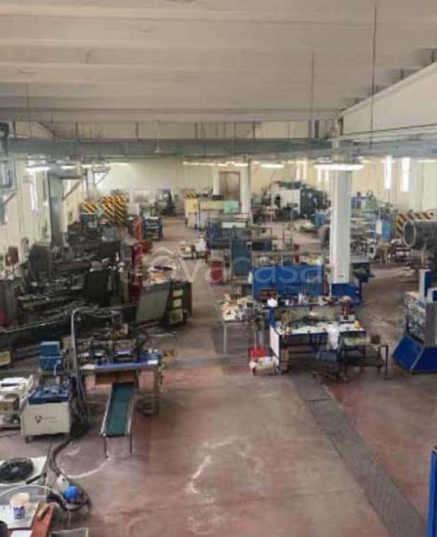 immagine annuncio 9 di 15