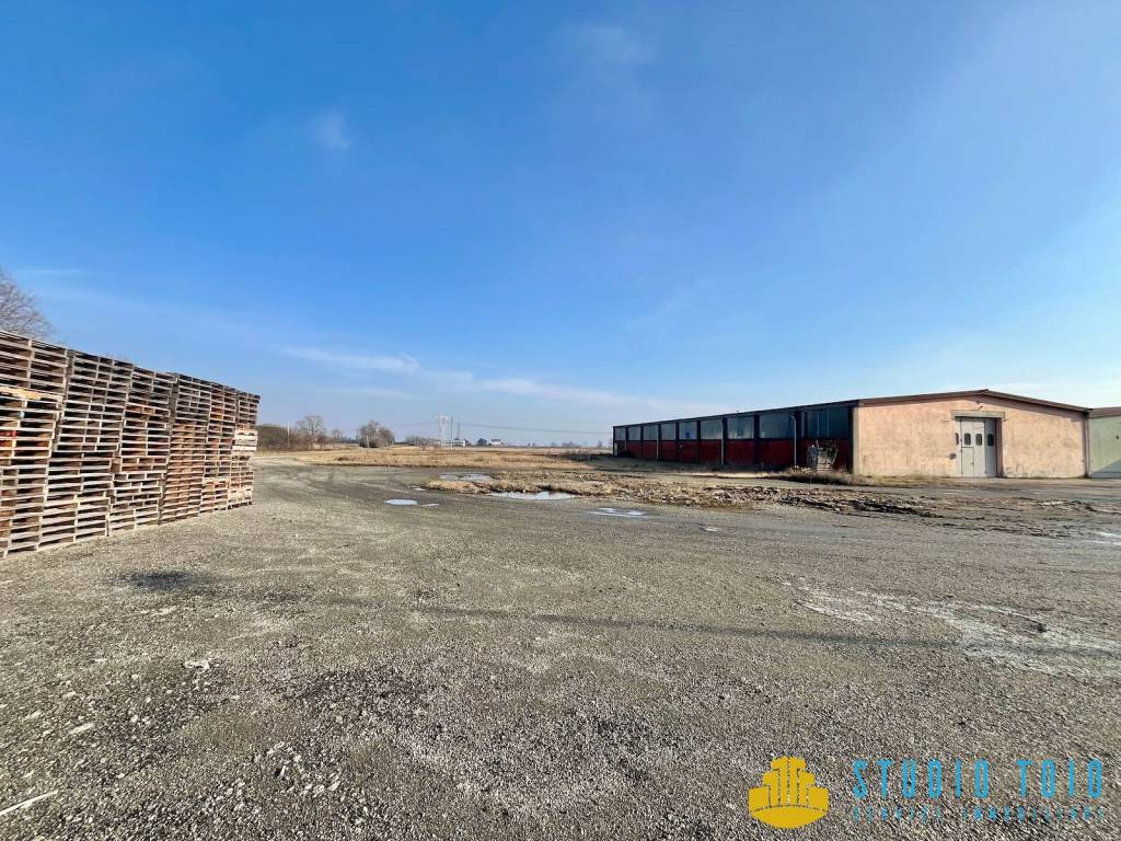 immagine annuncio 8 di 15