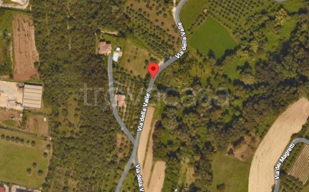 immagine annuncio 5 di 11