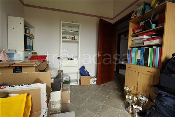 immagine annuncio 11 di 14