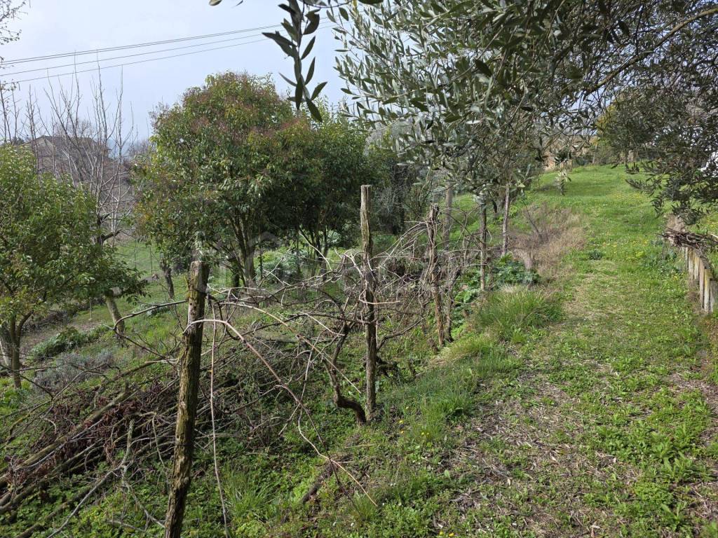 immagine annuncio 8 di 9