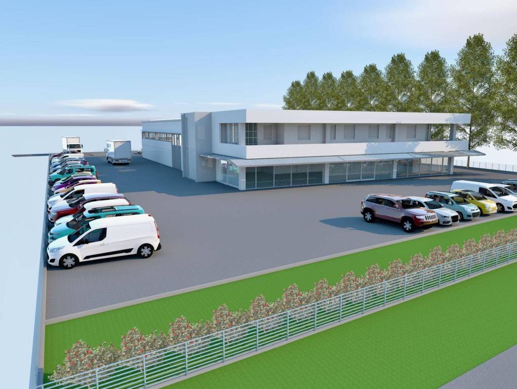 immagine annuncio 4 di 7