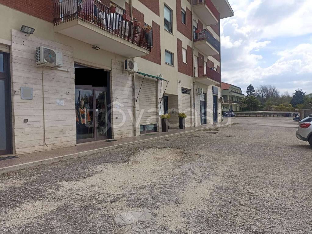 immagine annuncio 2 di 7