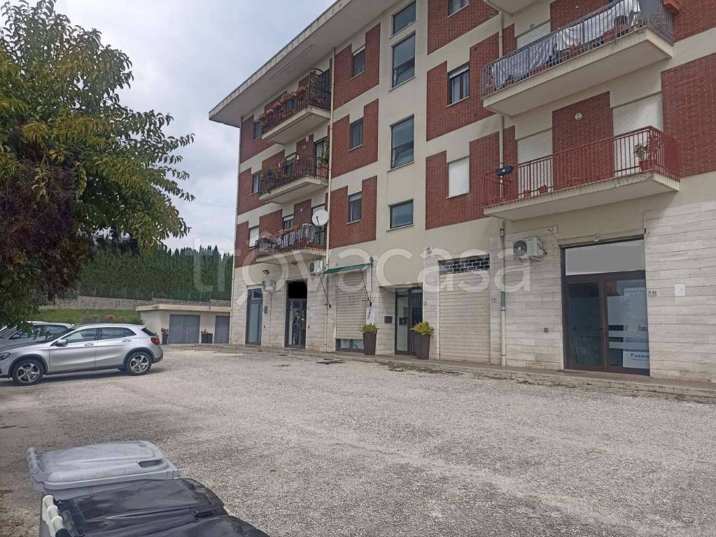 immagine annuncio 3 di 7