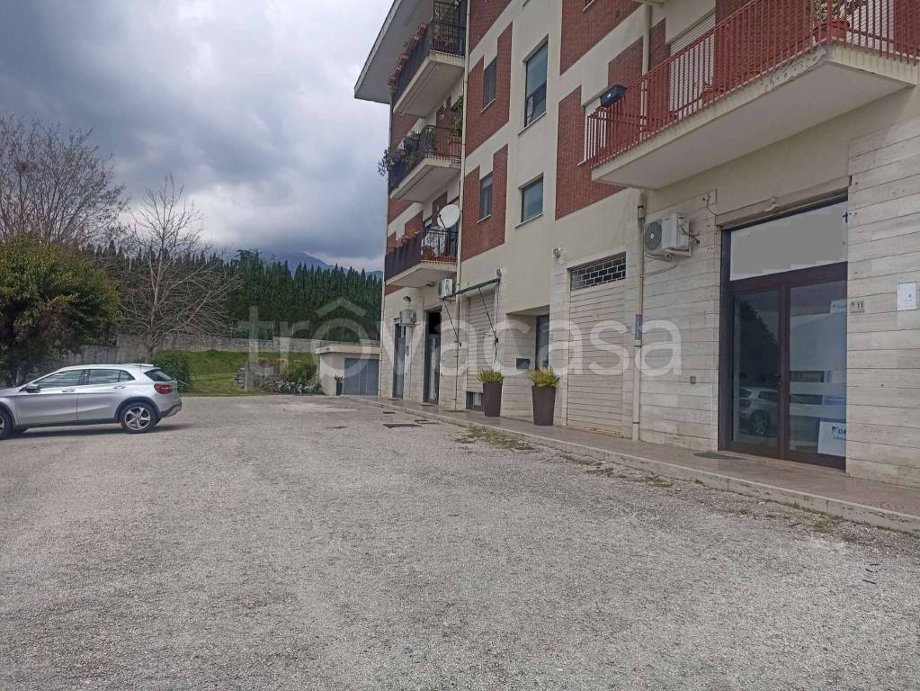 immagine annuncio 4 di 7