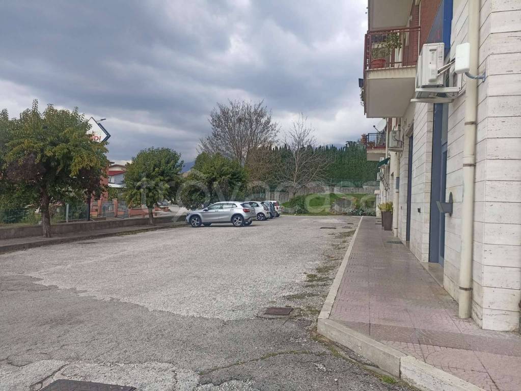 immagine annuncio 5 di 7