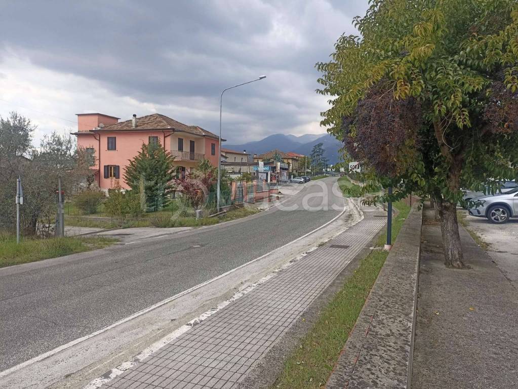 immagine annuncio 6 di 7