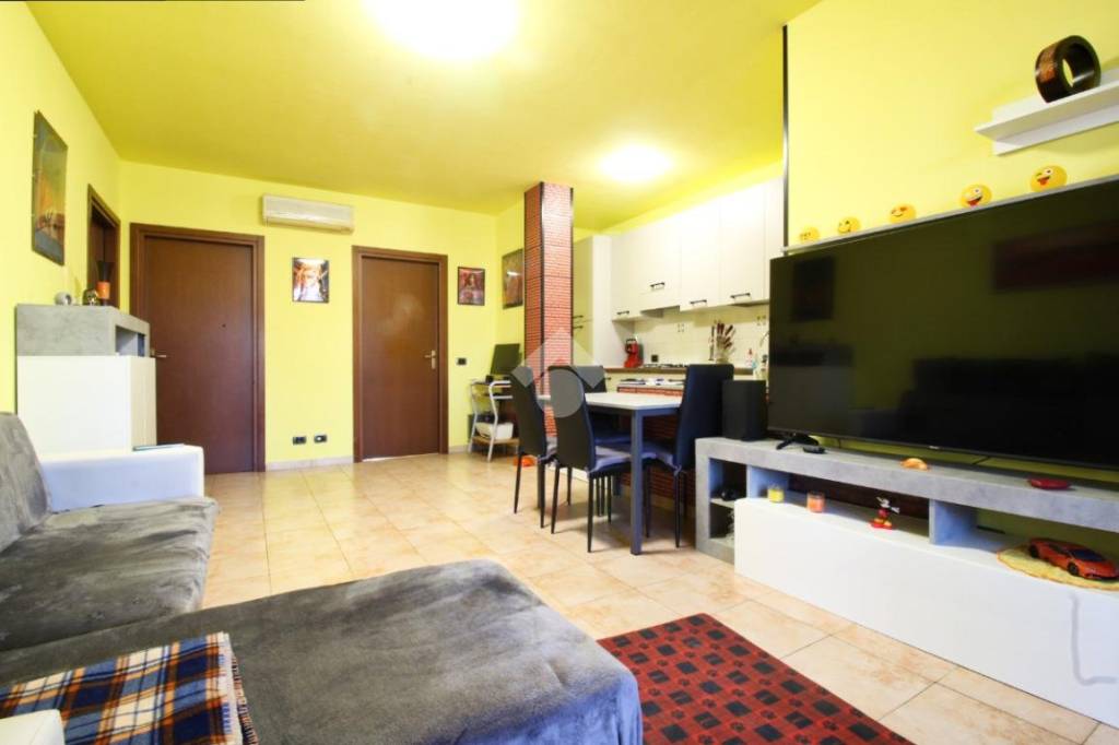 immagine annuncio 7 di 15