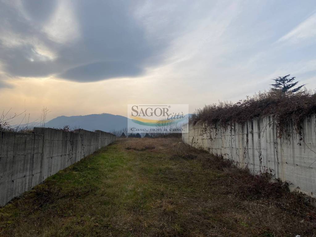 immagine annuncio 6 di 7