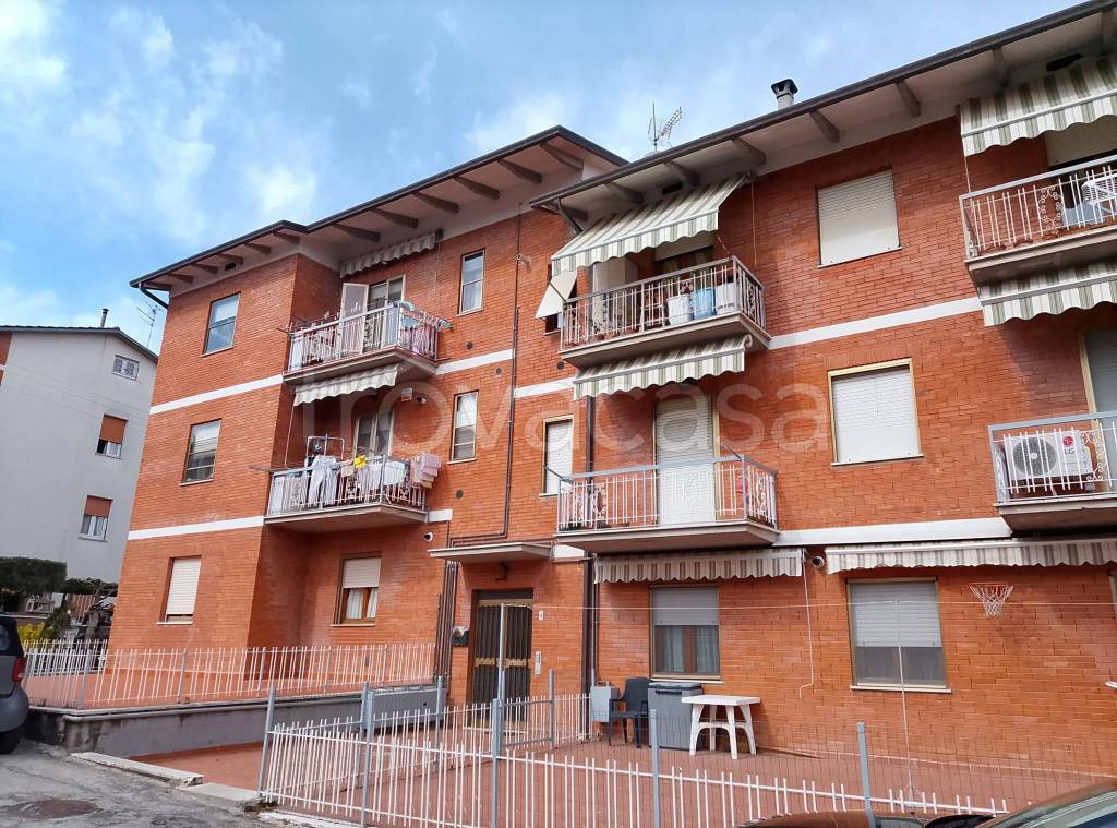 immagine annuncio 1 di 6