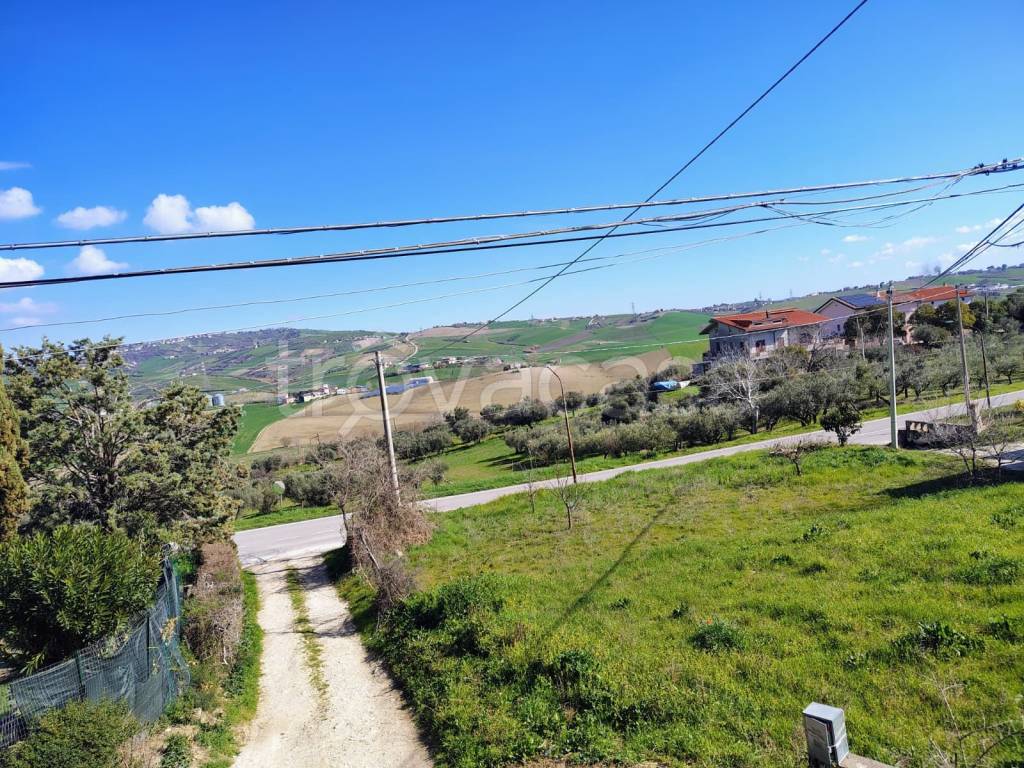 immagine annuncio 11 di 14