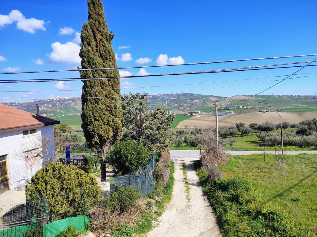 immagine annuncio 12 di 14