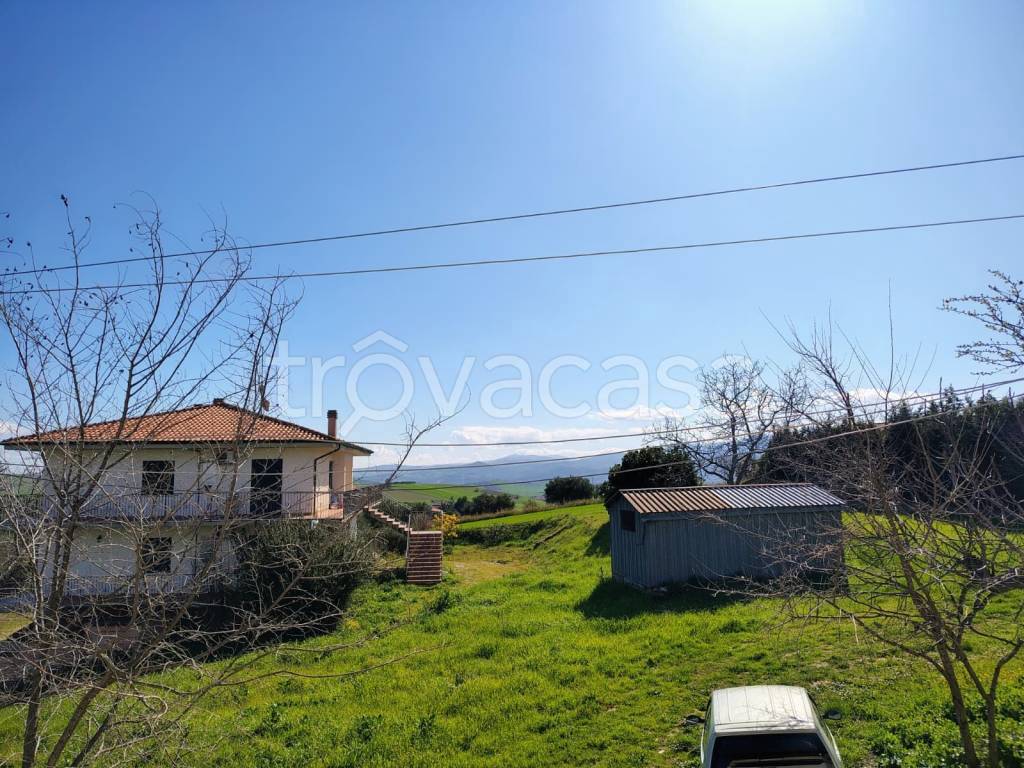 immagine annuncio 13 di 14