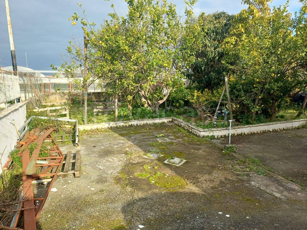 immagine annuncio 4 di 11