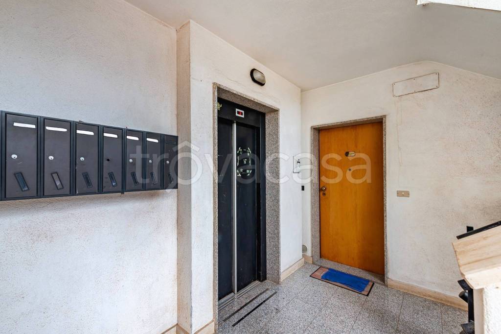 immagine annuncio 3 di 13