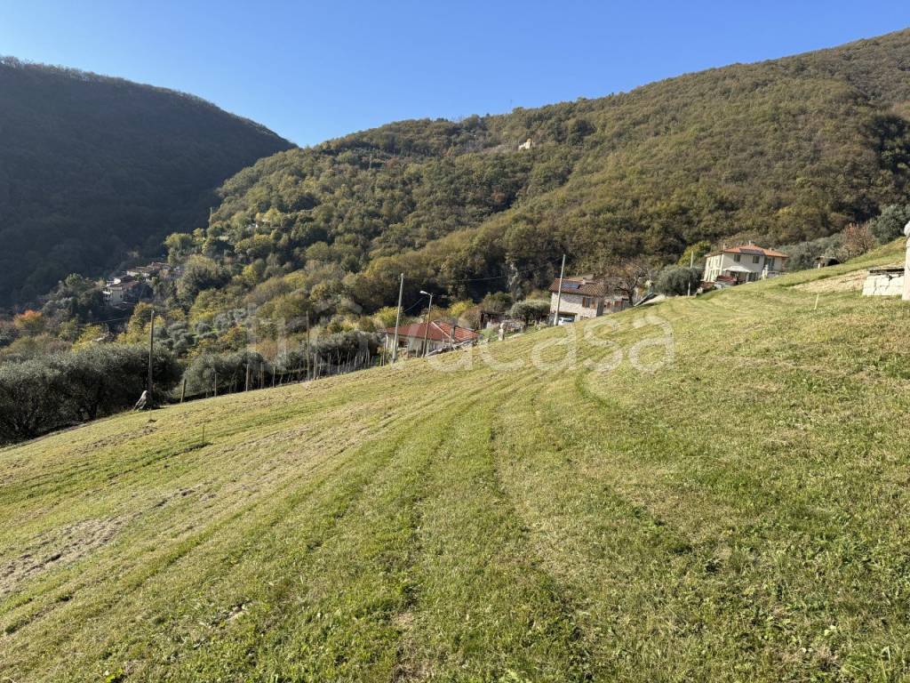 immagine annuncio 3 di 9