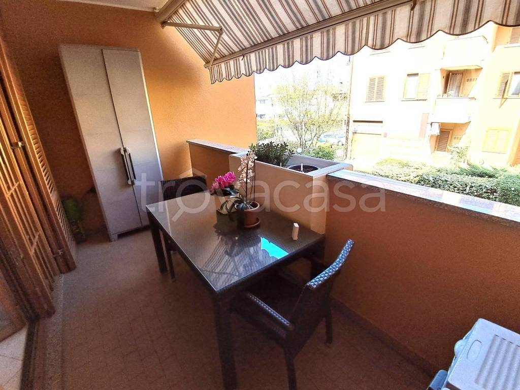 immagine annuncio 2 di 15