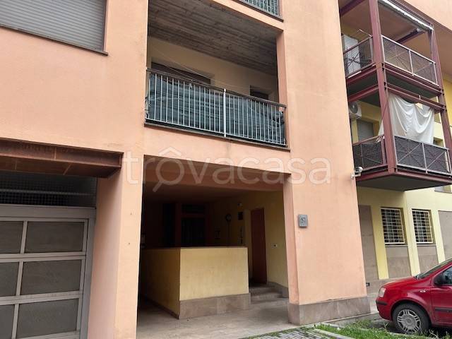 immagine annuncio 3 di 7