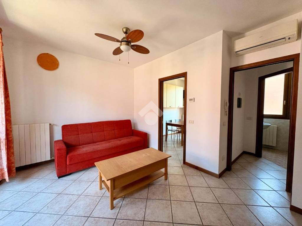 immagine annuncio 7 di 13