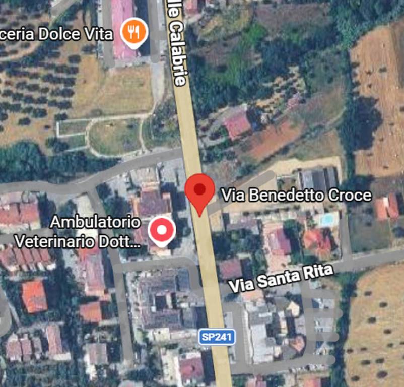 immagine annuncio 8 di 11