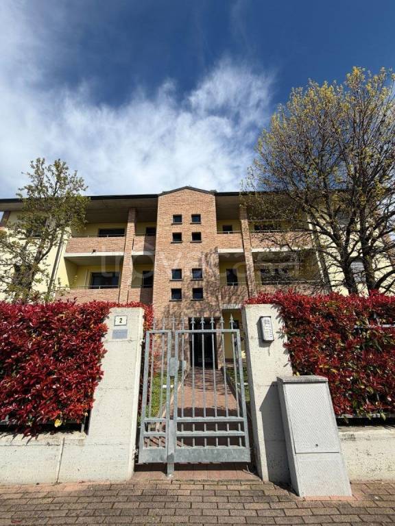 immagine annuncio 11 di 12