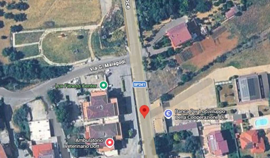 immagine annuncio 2 di 10