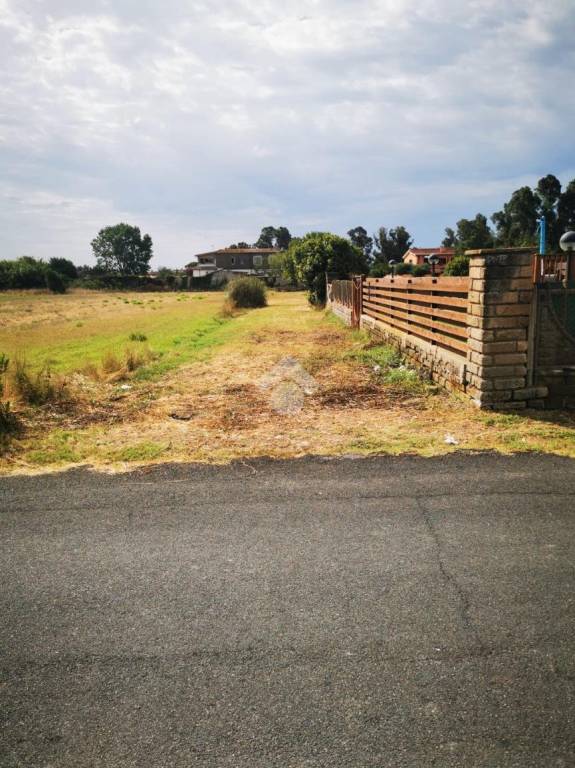 immagine annuncio 1 di 9