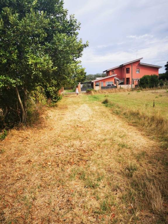 immagine annuncio 3 di 9