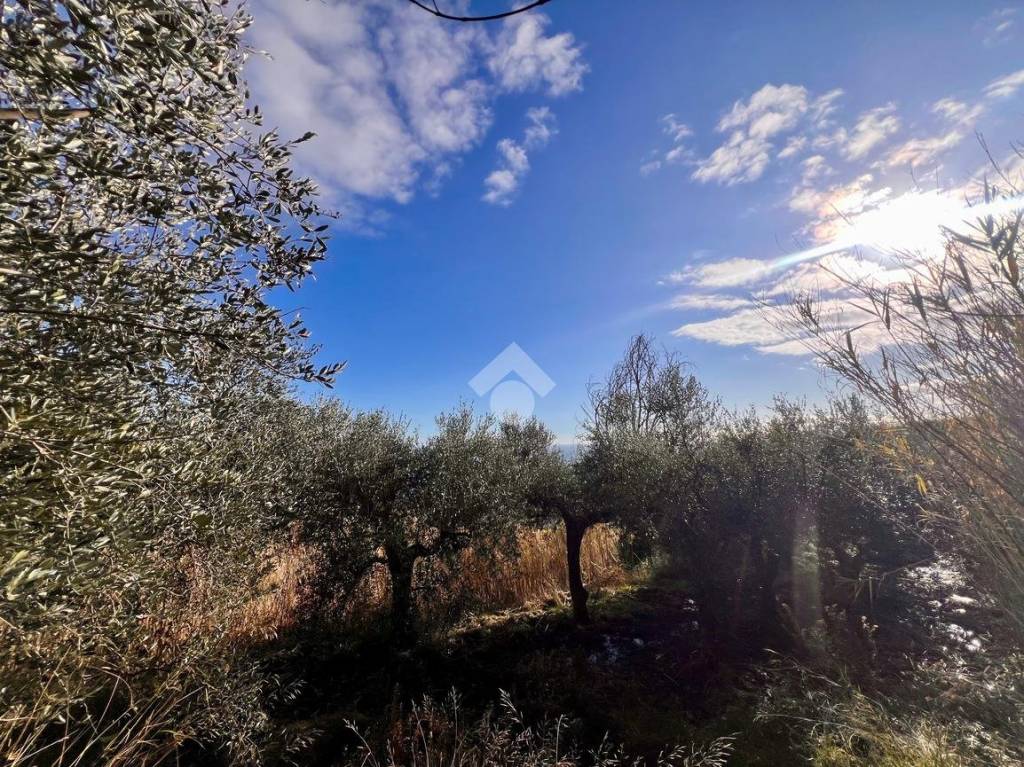 immagine annuncio 3 di 14