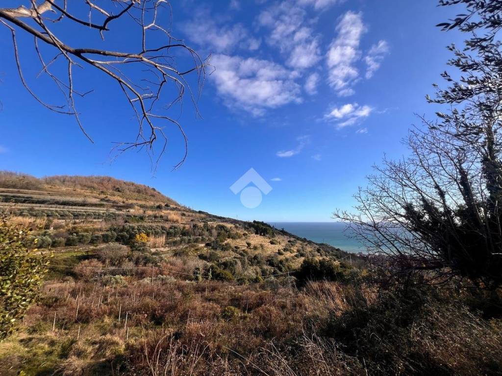 immagine annuncio 6 di 14