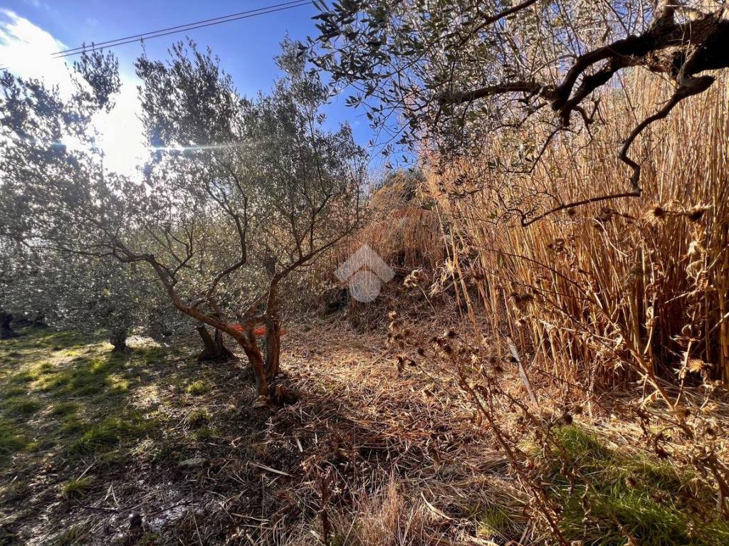 immagine annuncio 10 di 14