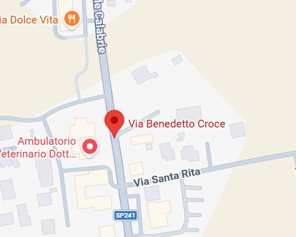 immagine annuncio 10 di 11